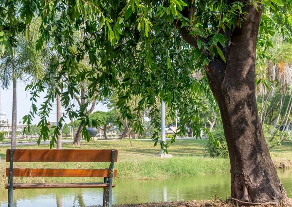 Banco Bajo Árbol Jardín Público Tailandia Solo — Foto de Stock
