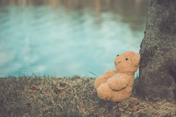 Alone Bear Doll Very Sad Alone Lonely — Stock Photo, Image