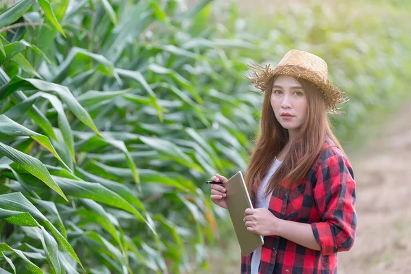 Aziatische Vrolijke Vrouwelijke Boer Maïsboerderij Controle Van Landbouwproducten Thaise Bevolking — Stockfoto