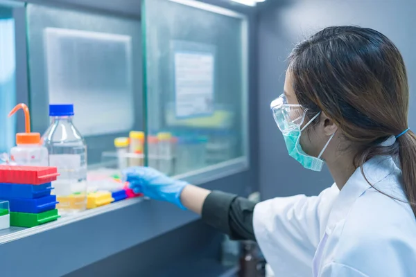 Kvinnliga Asiatiska Forskare Arbetar Lab Experiment För Kund Med Hjälp — Stockfoto