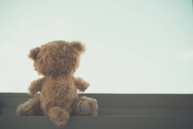 Yalnız oyuncak ayı klasiği