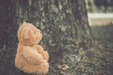 Yalnız ayı bebek, çok üzgün, yalnız, yalnız