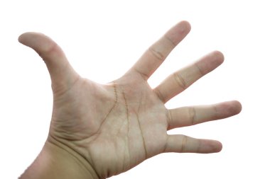 Yakın plan beş parmak beyaz arkaplanda izole