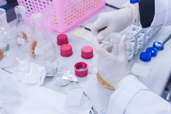 Scientist mix chemicals with The shake machine Before the experiment.Mixture laced with samples into test tubes,Thailand scientist working in the lab