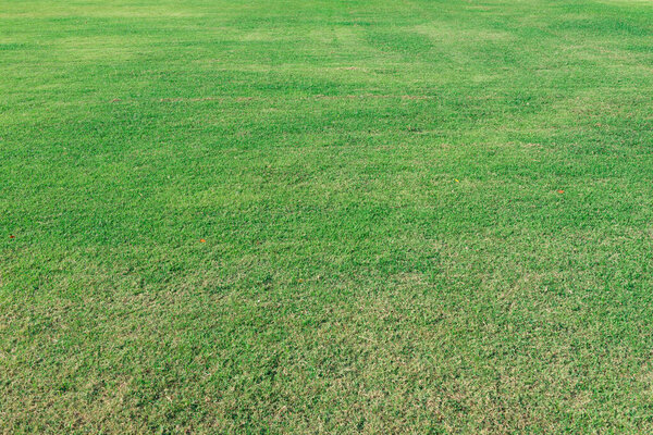 Close up lawn of soccer field for texture background