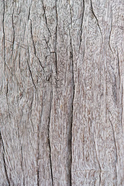 背景色のための木のテクスチャの皮膚 — ストック写真