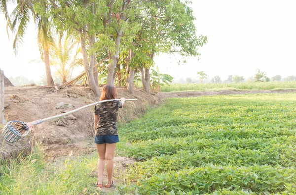 Landelijke Mooie Vrouw Wandelen Tuin Buurt Van Velden Met Fel — Stockfoto