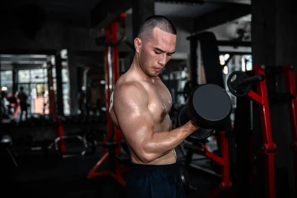 Retrato Hombre Asiático Gran Músculo Gimnasio Tailandia Personas Entrenamiento Para — Foto de Stock