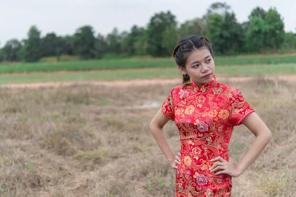 Tahun Baru Cina Bahagia Wanita Asia Mengenakan Pakaian Tradisional Cheongsam — Stok Foto