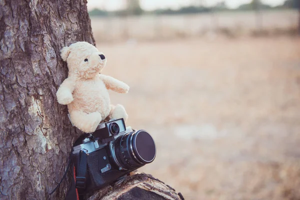 Osito Peluche Cámara Vieja Estilo Vintage Árbol —  Fotos de Stock