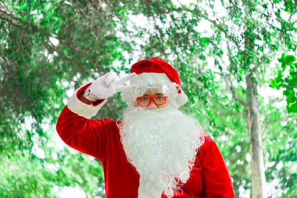 Retrato Papai Noel Luz Bokeh Sob Árvore Conceito Feliz Natal — Fotografia de Stock