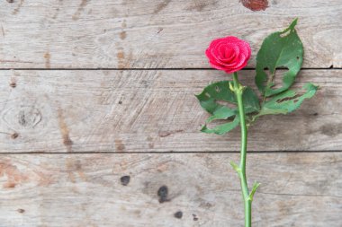 Sevgililer günü kartı şablonu, kopyalama alanı 