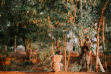 Yalnız oyuncak ayı, klasik esmer tonda.