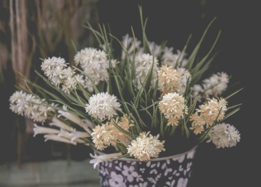 Arka plan için saksıda çiçeklerin koyu tonu