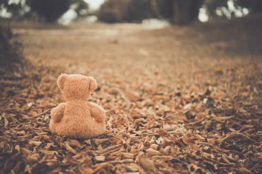 Yalnız ayı bebek, çok üzgün, yalnız, yalnız