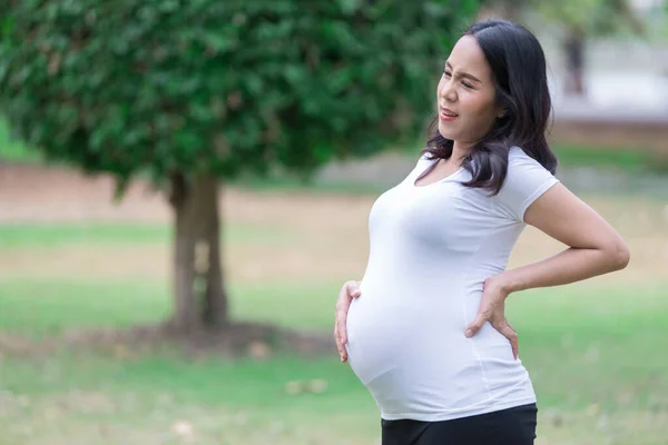 Retrato Asiático Hermosa Mujer Embarazada Parque Tailandia Personas Concepto Mujer — Foto de Stock