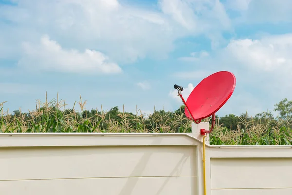 Satélite Rojo Pared Campo Cerca Granja Maíz Khaoyai Korat Nakhonratchasima —  Fotos de Stock