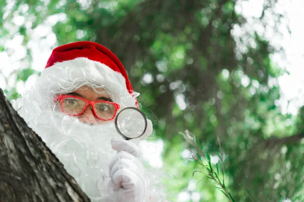 木の下のボケの光にサンタクロースの肖像 メリークリスマスのコンセプト — ストック写真