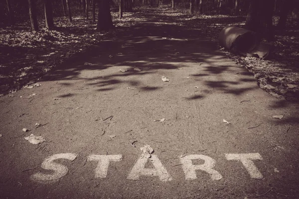 Start on the road in the forest dark tone