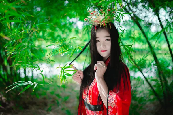 Portrait Beautiful Asian Woman Wear Ancient Chinese Dress Style Bamboo — Stock Photo, Image