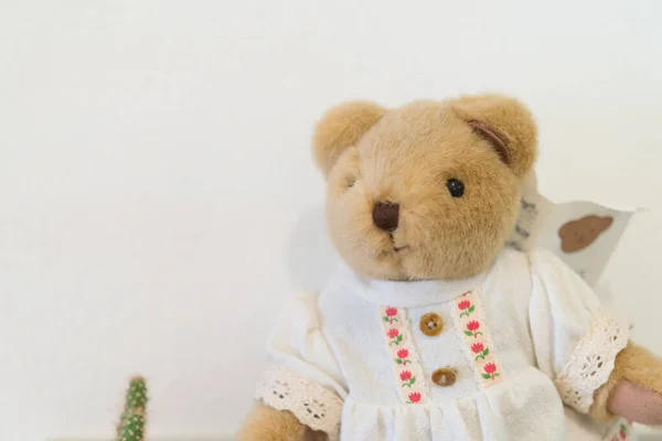 Cute bear doll on white wall background