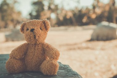 Ayı bebek yalnız oturur, klasik tarzda.