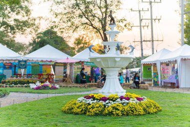 Parktaki güzel çiçekler..