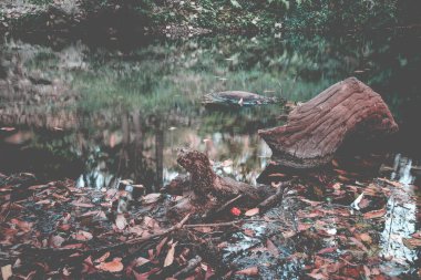 Tayland 'a göre seyahat, seyahat kavramı 