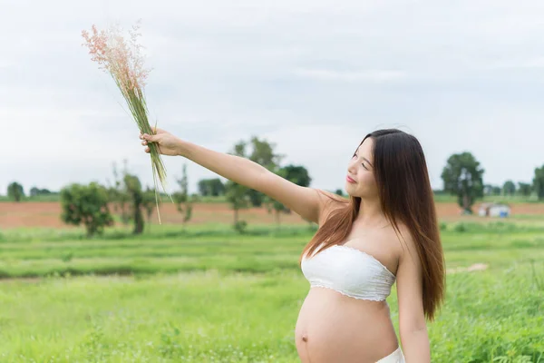 Mujer Embarazada Hierba —  Fotos de Stock