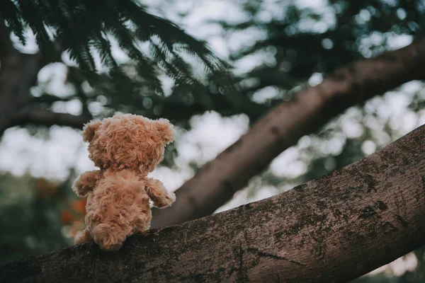 Sozinho Ursinho Para Fora Porta Vintage Tom Escuro Estilo — Fotografia de Stock