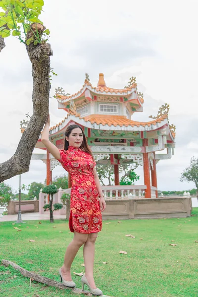 Feliz Ano Novo Chinês Mulher Asiática Vestindo Roupas Tradicionais Cheongsam — Fotografia de Stock