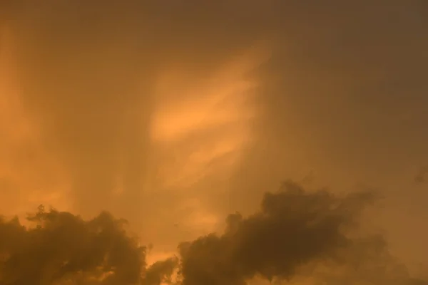 Zlatá Obloha Před Velkým Stromem Při Západu Slunce — Stock fotografie