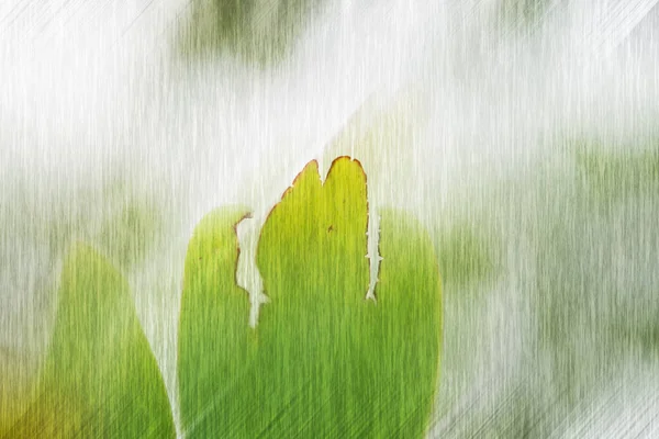 Primavera Fresca Fundo Grama Verde Com Espaço Cópia — Fotografia de Stock