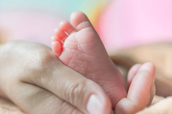 Closeup Feet Baby Hand Mom — Stock Photo, Image