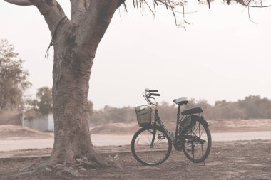 Ağacın altında bisiklet, eski usul.