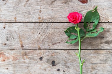 Sevgililer günü kartı şablonu, kopyalama alanı 