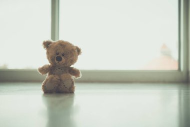 Yalnız oyuncak ayı klasiği