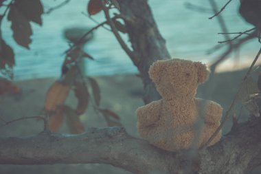 Ayı bebek yalnız oturur, klasik tarzda.