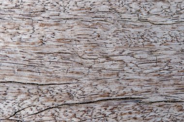 Arkaplan makro görünümü için ahşap dokunun teni