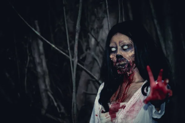 Portrait Asian Woman Make Ghost Face Blood Horror Scene Scary — Stock Photo, Image