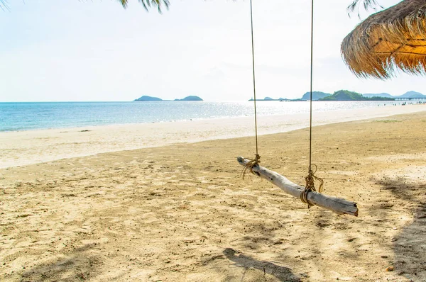 Wood swing under tree on the beach in the sunny day,bright sunlight
