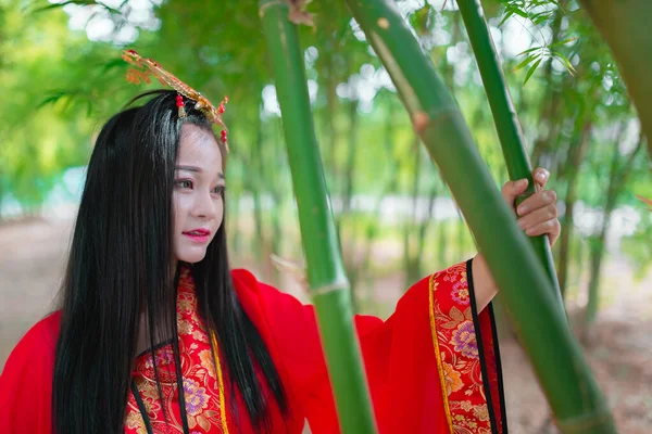 Portrait Der Schönen Asiatischen Frau Tragen Alten Chinesischen Kleidungsstil Bambuswald — Stockfoto