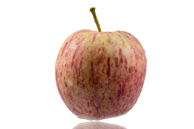 Beyaz zemin üzerinde su damlası olan taze elma, gölge.