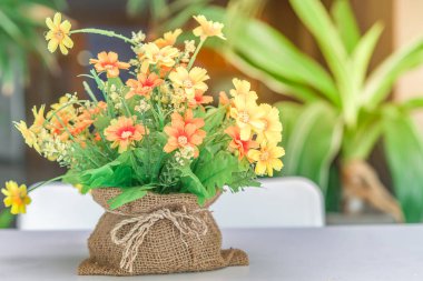 Çiçekler plastik torba içinde beyaz masa üzerinde parlak güneş ışığı, sıcak ton