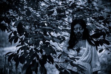 Asyalı kadın portresi kanla, korku sahnesiyle, korkunç geçmişiyle, Cadılar Bayramı posteriyle, Taylandlı insanlarla dolu.