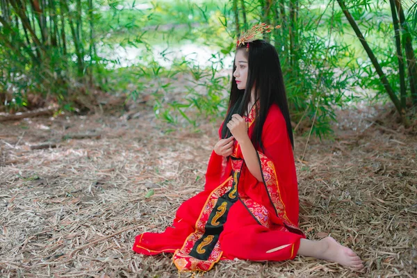 Портрет Красивої Азіатки Носить Стародавній Китайський Стиль Одягу Бамбуковому Лісі — стокове фото