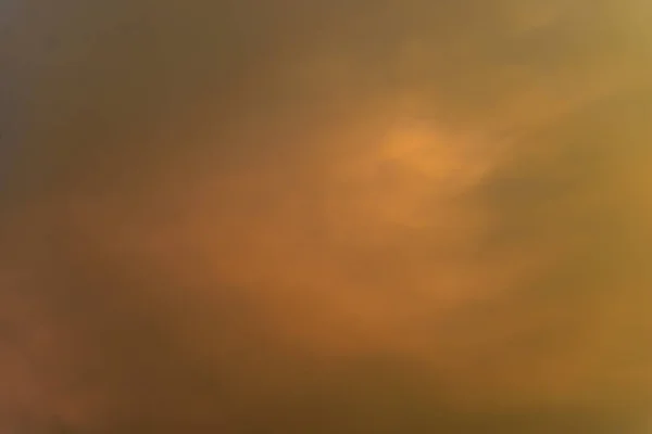 Rozmazání Zlaté Oblohy Před Velkým Stromem Při Západu Slunce Abstraktní — Stock fotografie