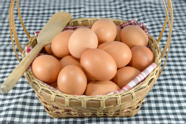 Close Fresh Eggs Panel Sale — Stock Photo, Image