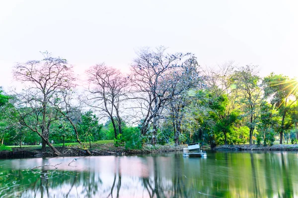 Larga Exposición Del Parque Con Luz Bengala — Foto de Stock