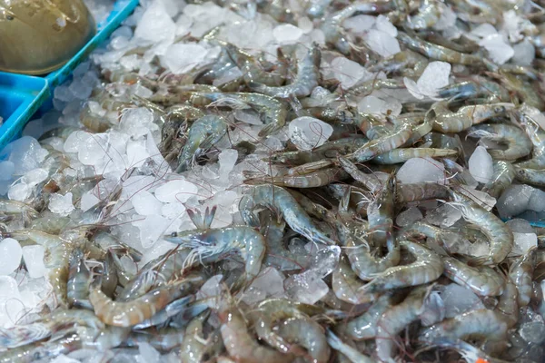 Frutos Mar Frescos Mercado — Fotografia de Stock